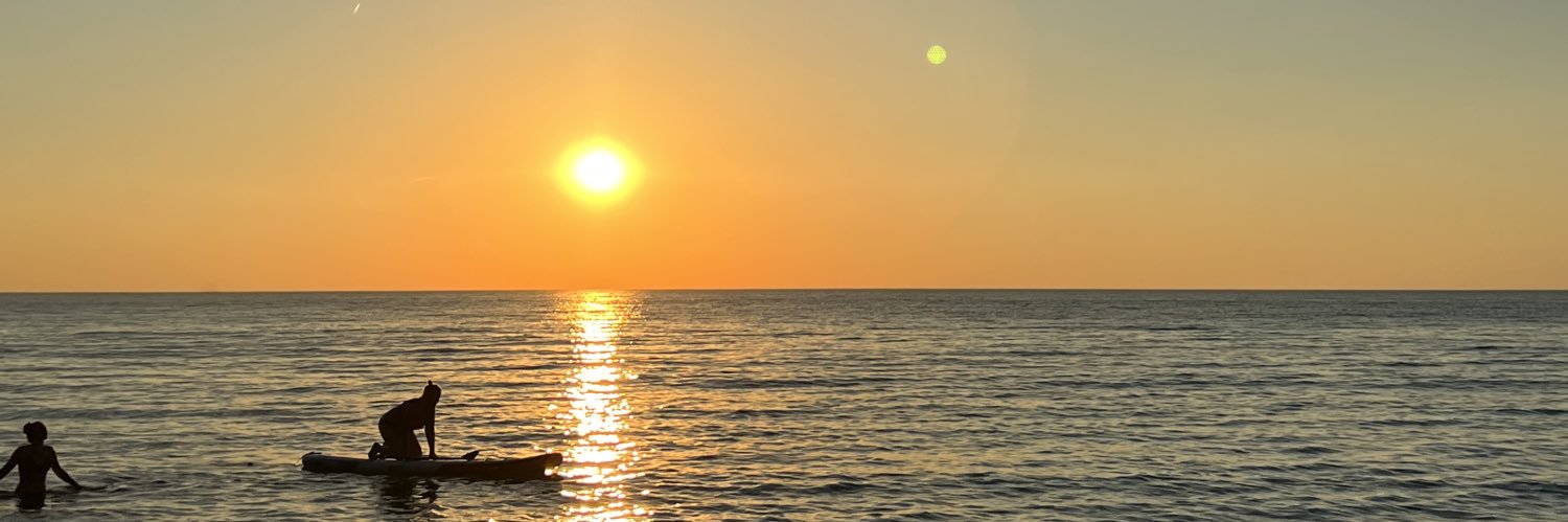 karollyon's profile banner image