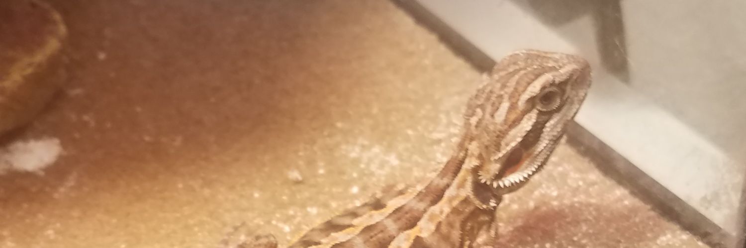 work4dmt's profile banner image