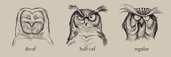 VixRz Profile Banner