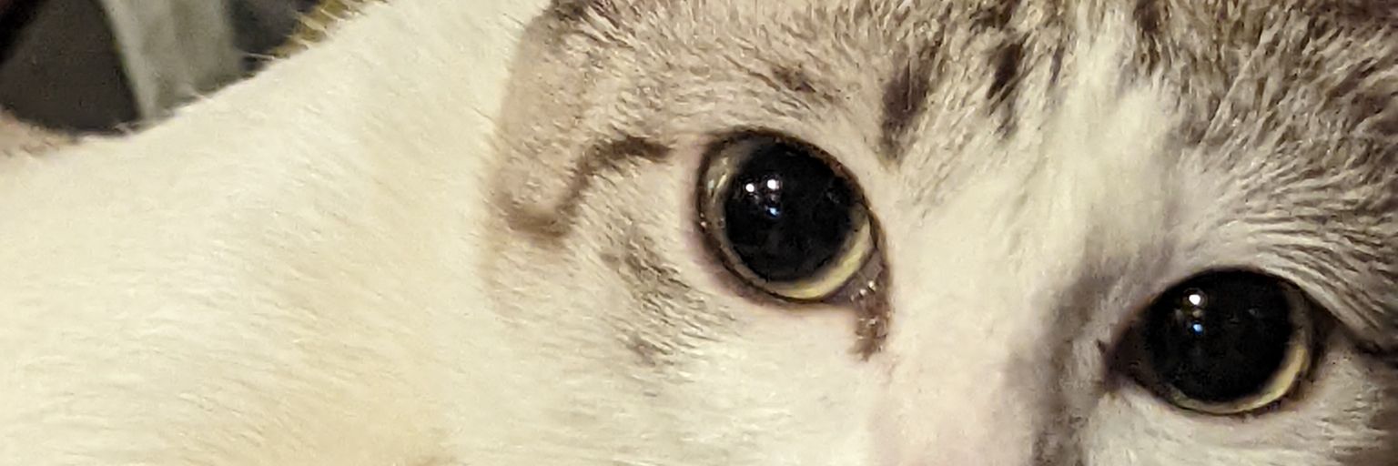 AidaSfqh's profile banner image