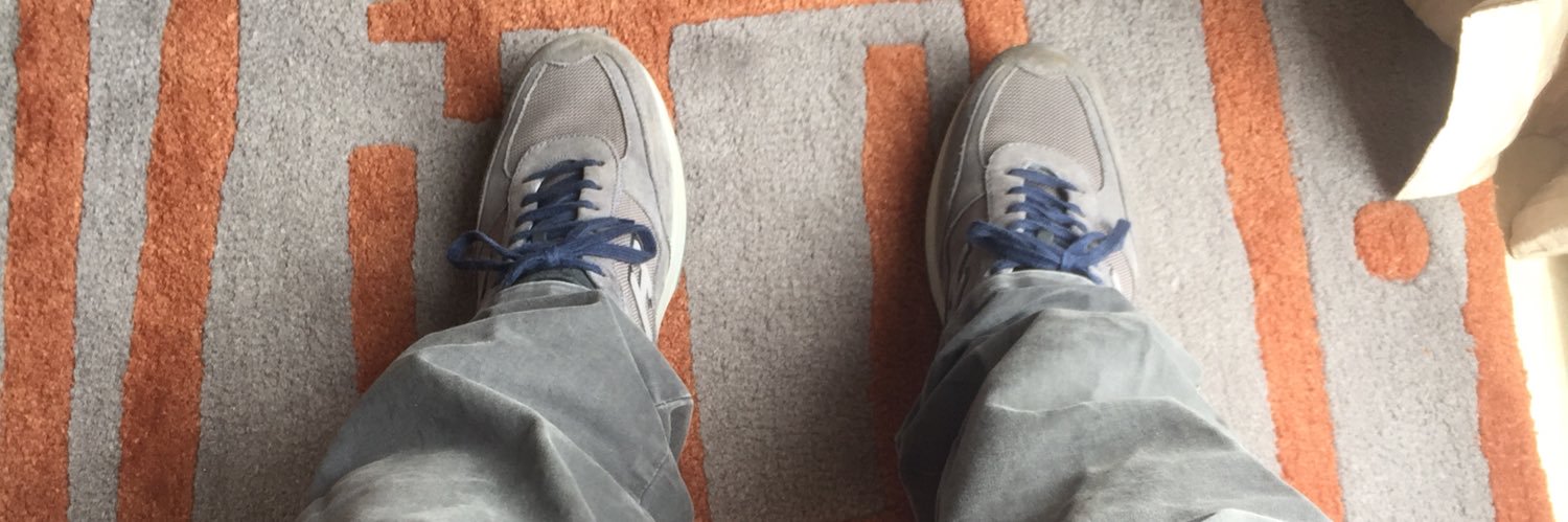 Michele C. S. banner