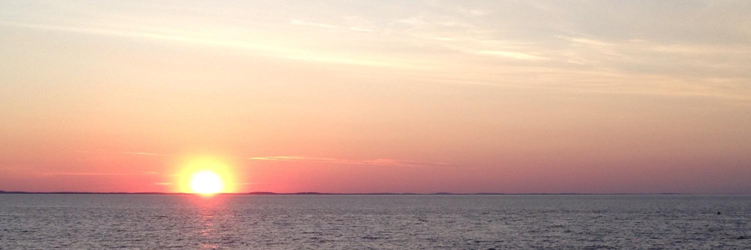 psenroot's profile banner image