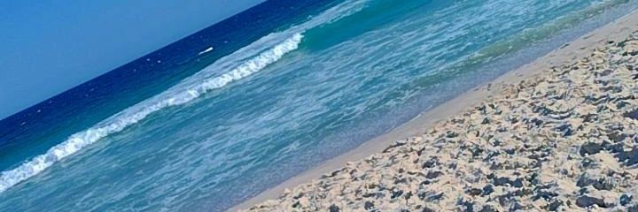HannahCellier's profile banner image