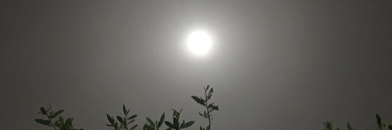 imedsd's profile banner image