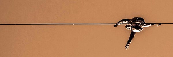 osbennn Profile Banner