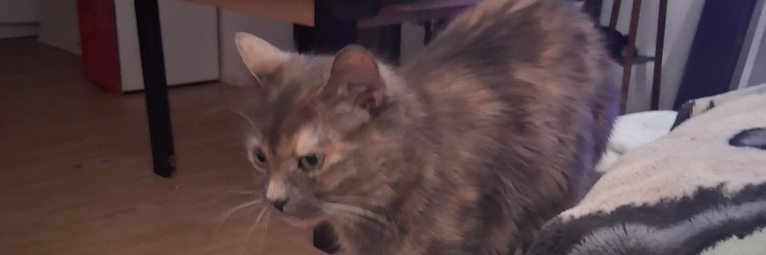 mickaeternel's profile banner image