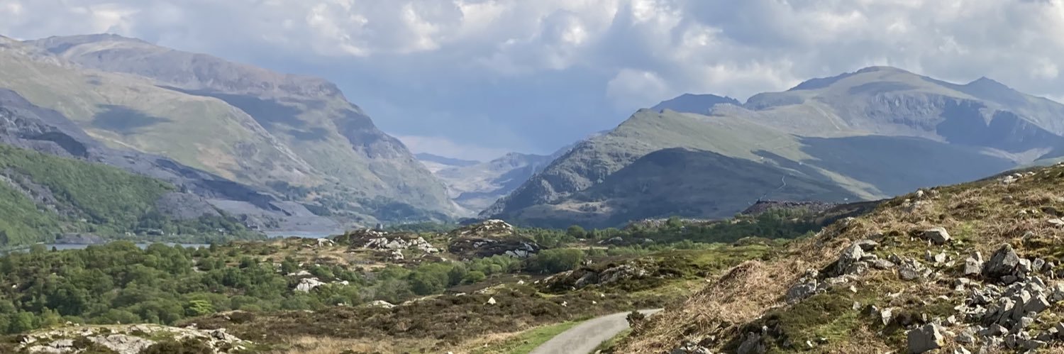 Judith Humphreys banner