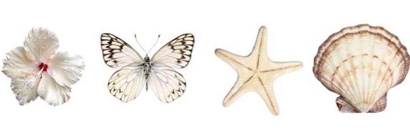 ccrysthal's profile banner image