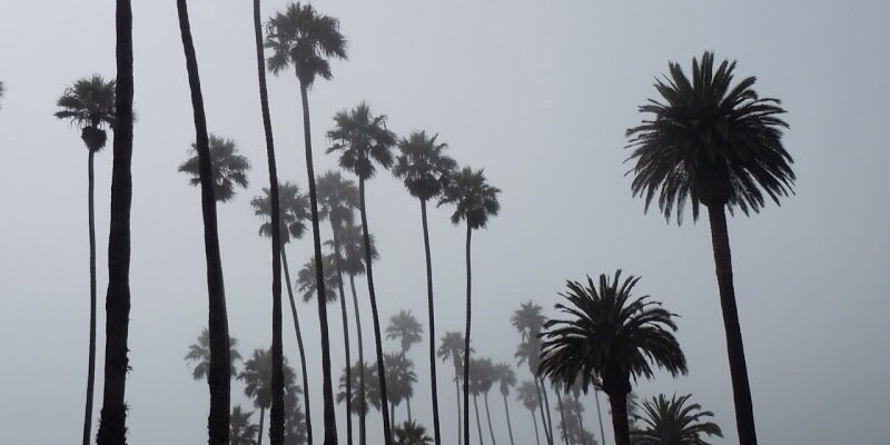 Humxnerror's profile banner image