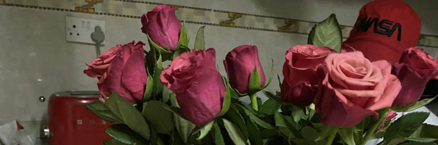 tebby__s's profile banner image