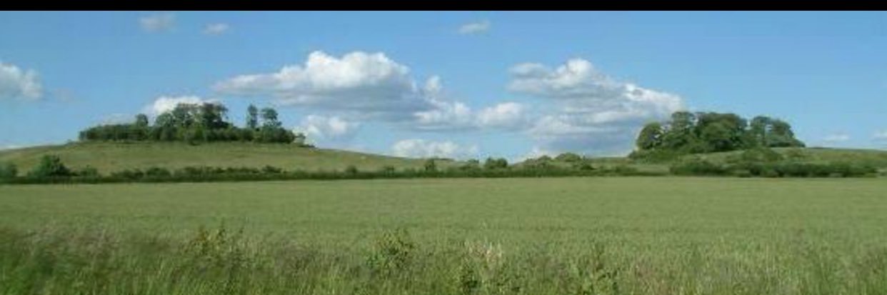 James Beveridge banner