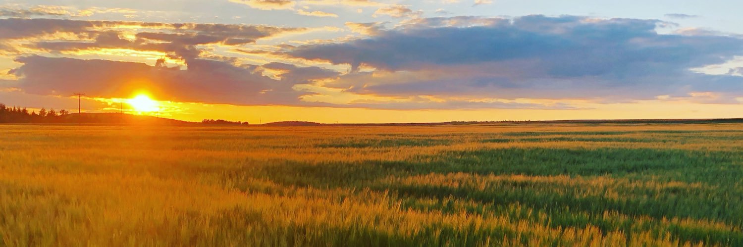 severintauber's profile banner image