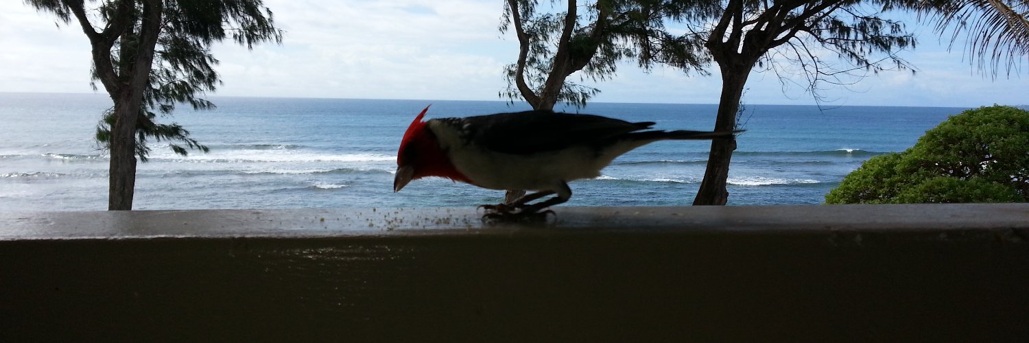 bigugly64's profile banner image
