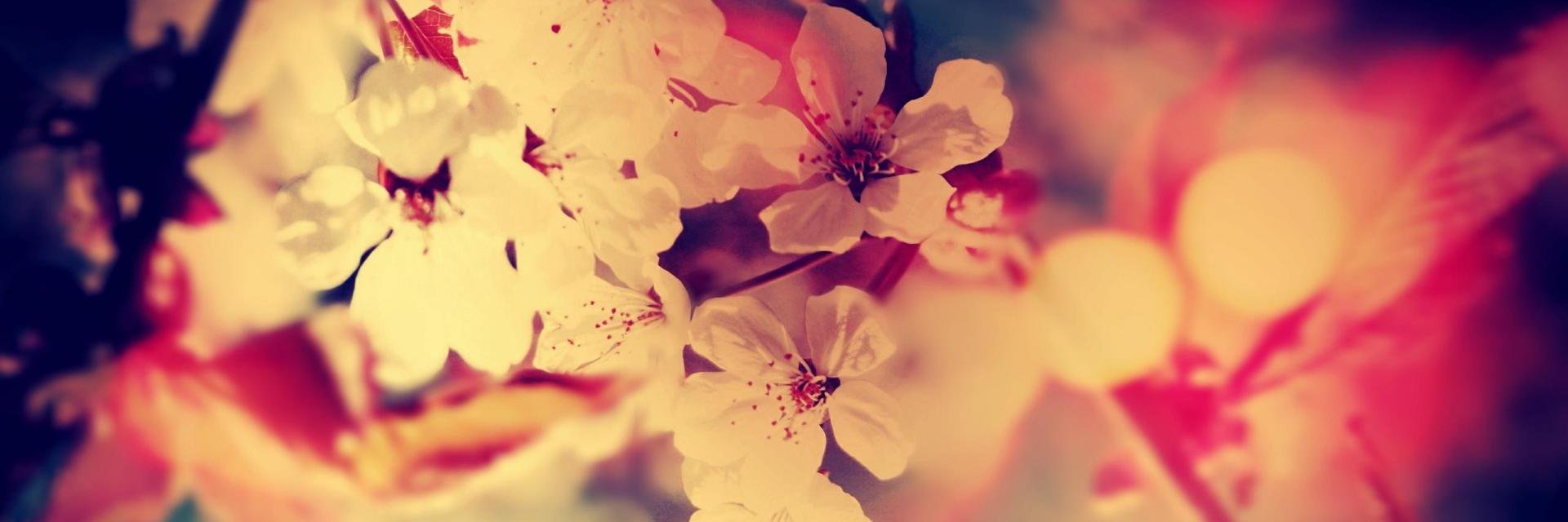 Gintonic_98's profile banner image