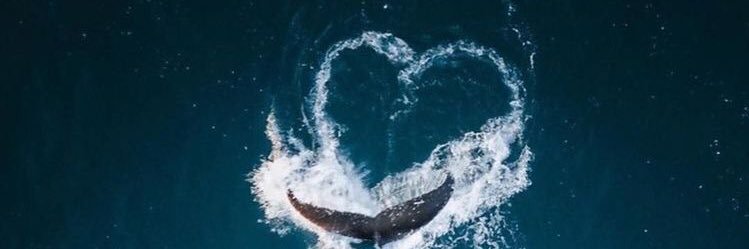 deniz_232's profile banner image