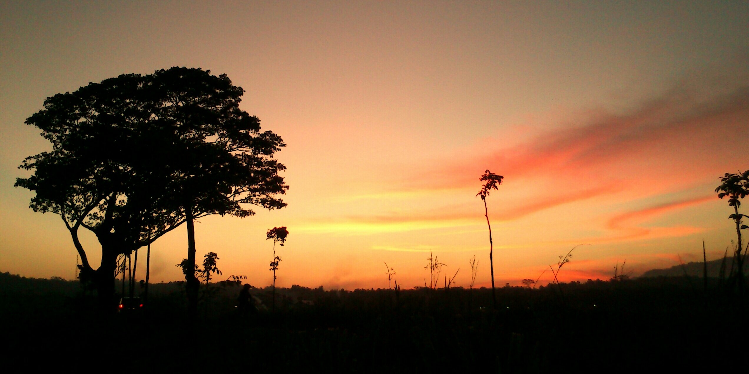 bonjes_lee's profile banner image