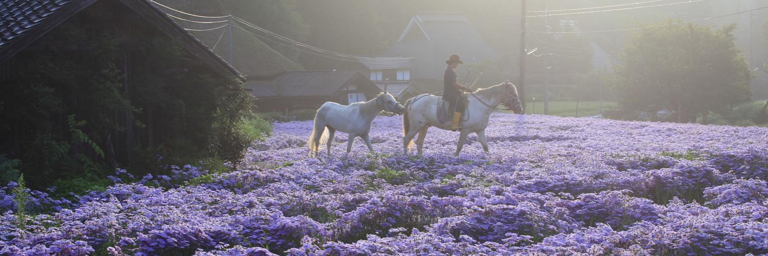 KWCPhoto's profile banner image