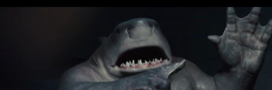 Darrin D. Donikowski banner