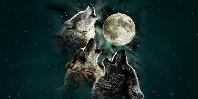 TreyDay_20's profile banner image