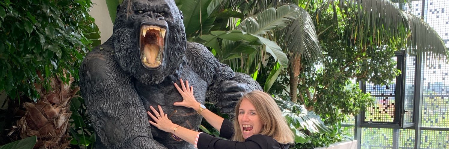 Marie-Laure Biscaye - Com & AI Marketing banner