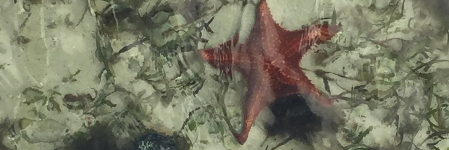 S_mcbroom's profile banner image