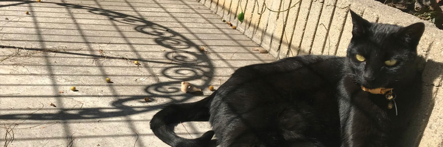 KushPanfur's profile banner image