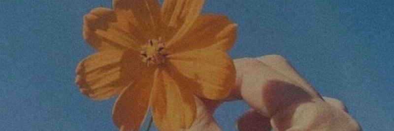 regitavpn's profile banner image
