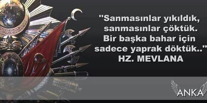 hasangocel's profile banner image