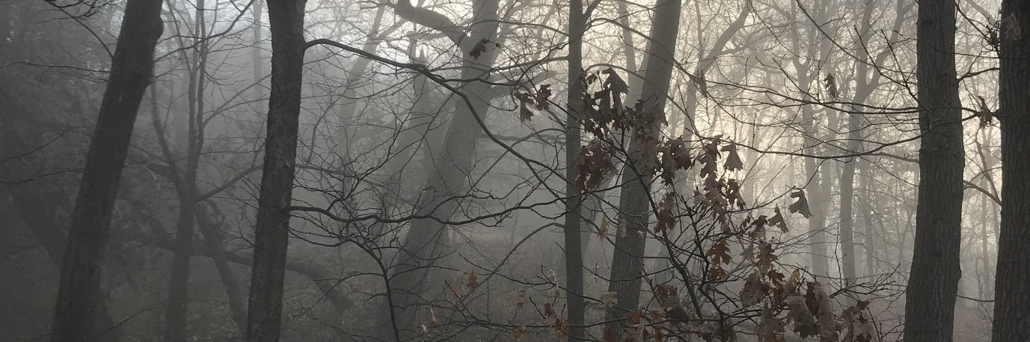tgrswmn's profile banner image