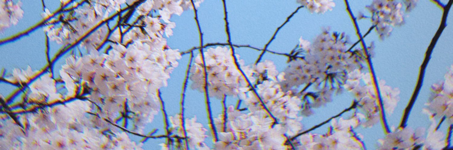 ⓜ banner