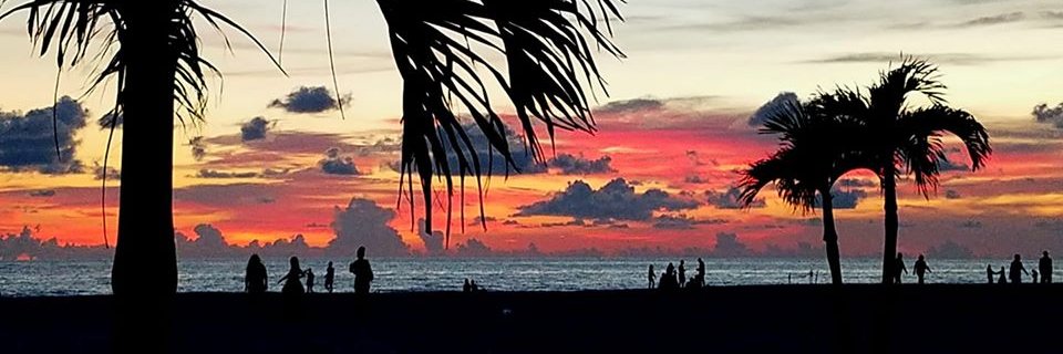 Jazzebull's profile banner image