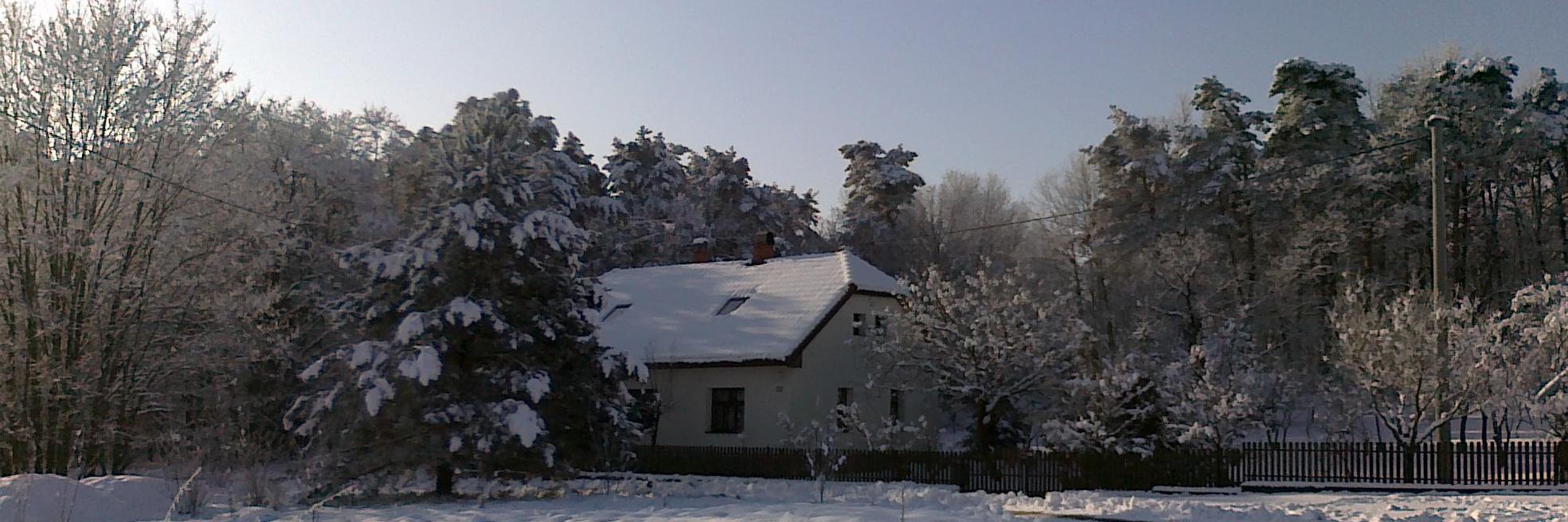 cibula_igor banner