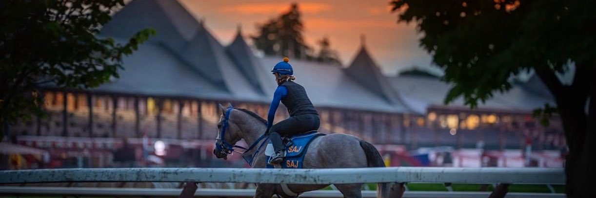 Sabine Langvad 🇳🇴 banner