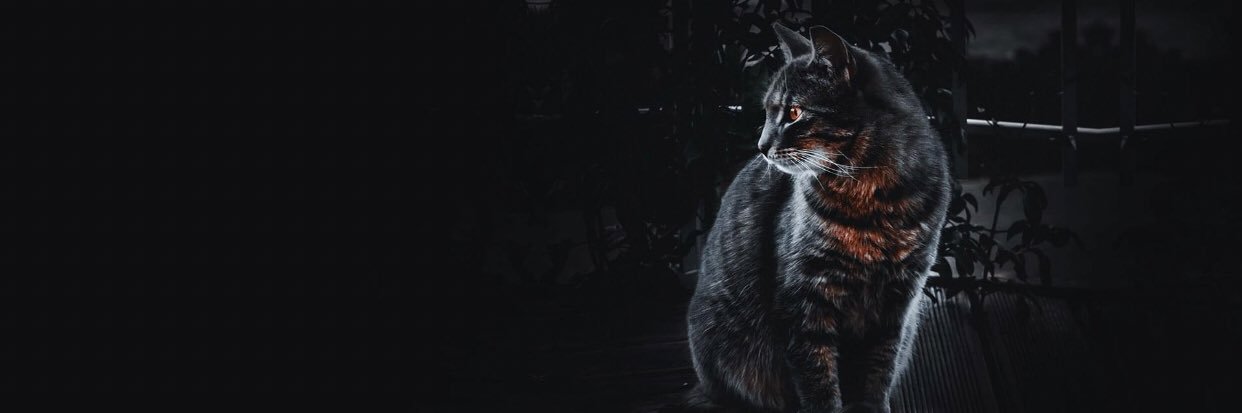 saktan95's profile banner image