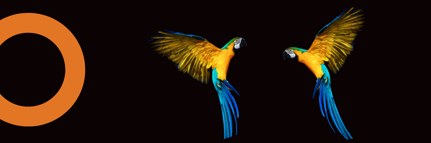 SamCryptoHub's profile banner image