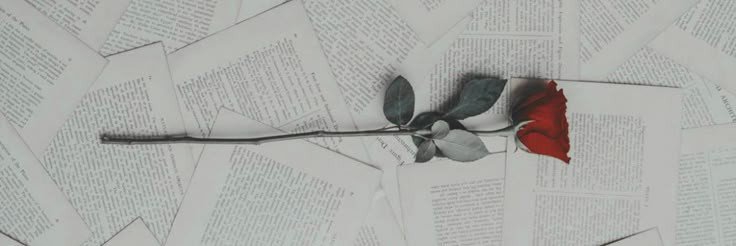 teban0916's profile banner image