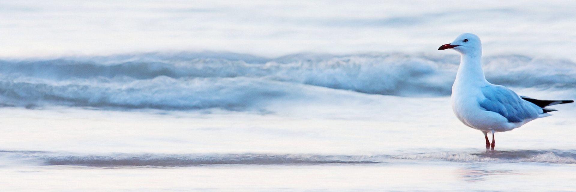 CatawbaIsleBeer's profile banner image