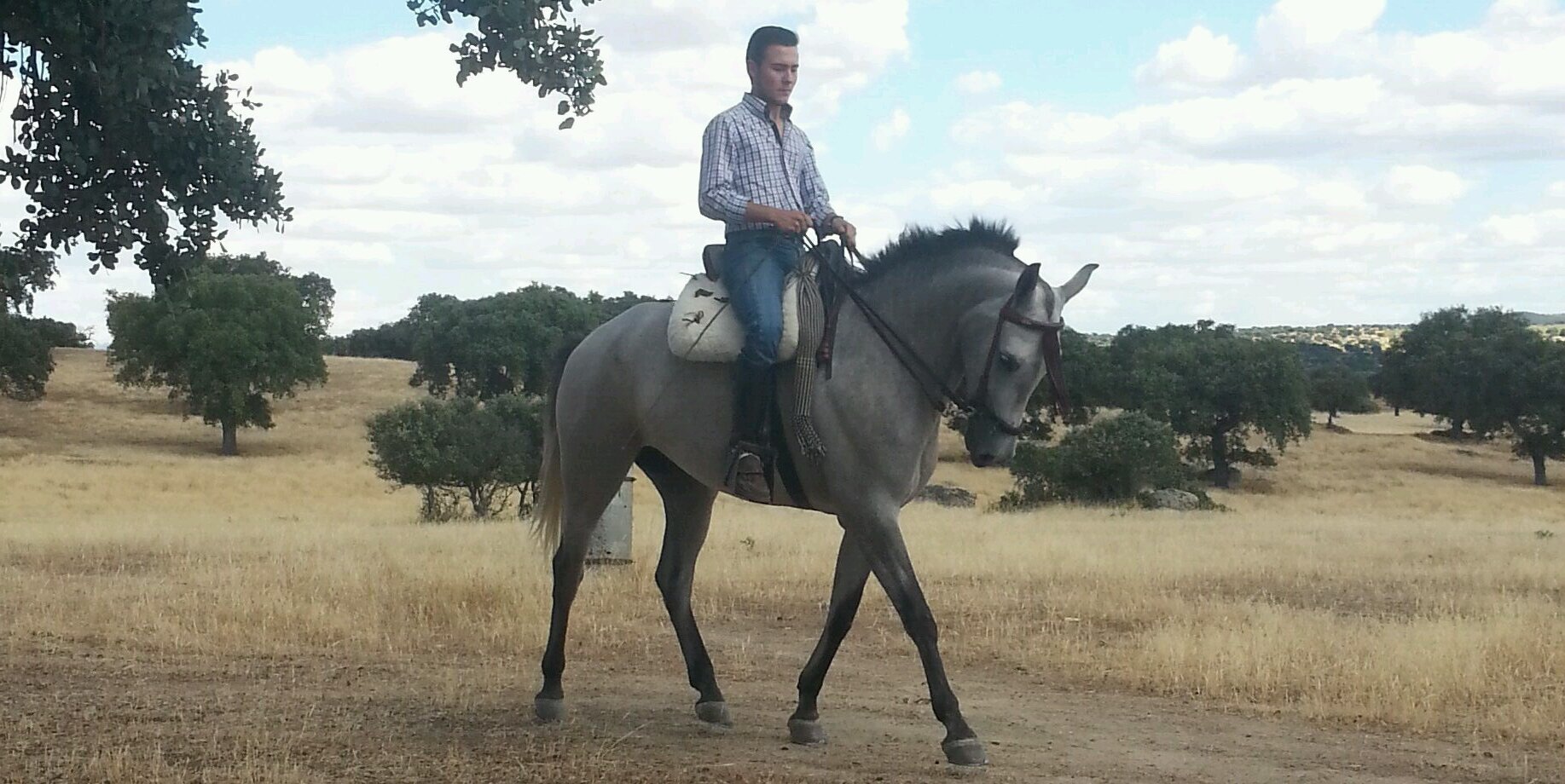 antonio_ebano's profile banner image