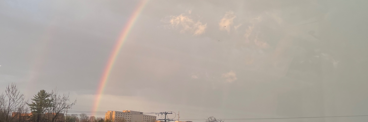 peppersong's profile banner image