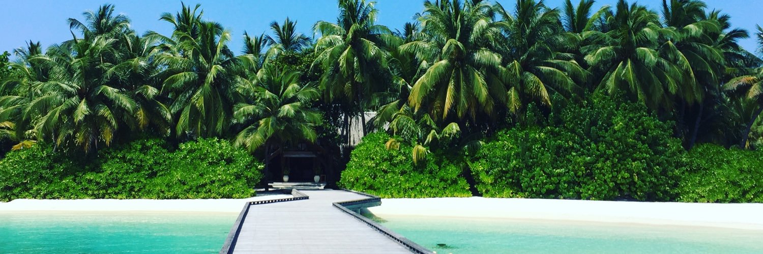 Harriet sullivan banner