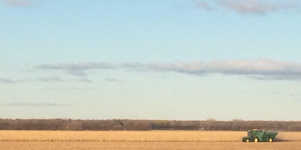 Tyler Russell banner