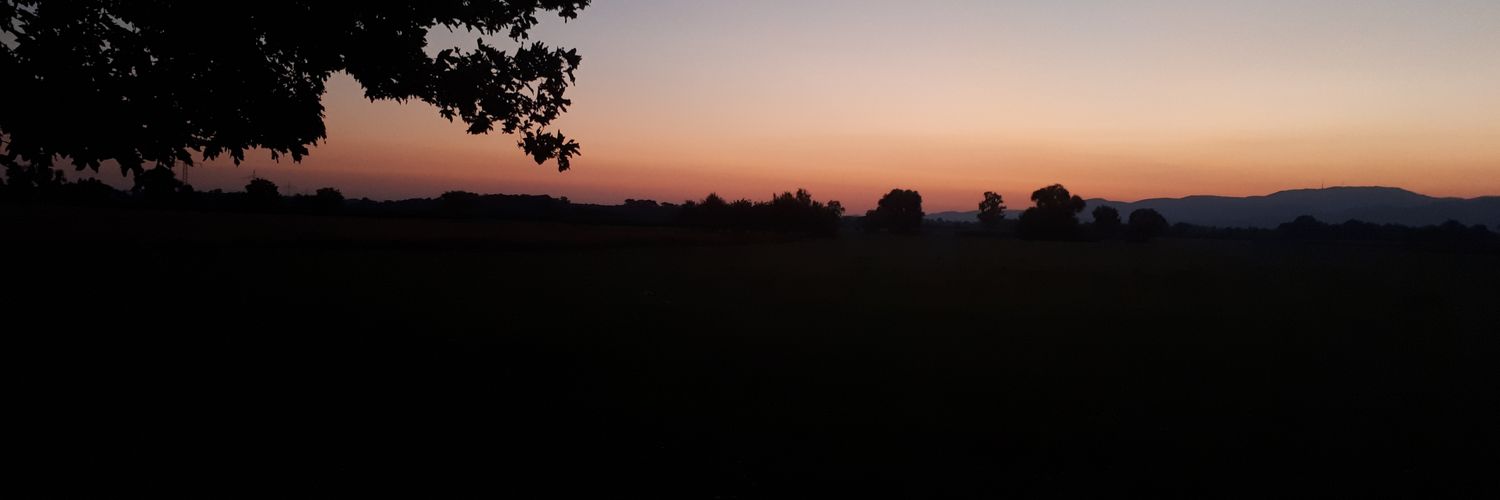 SBass_T_'s profile banner image