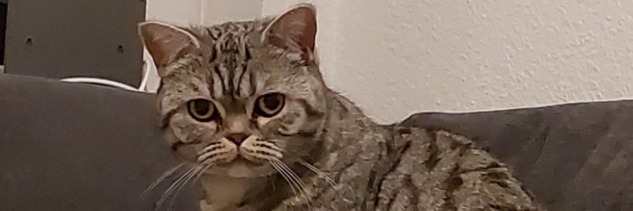 MrRoonix's profile banner image