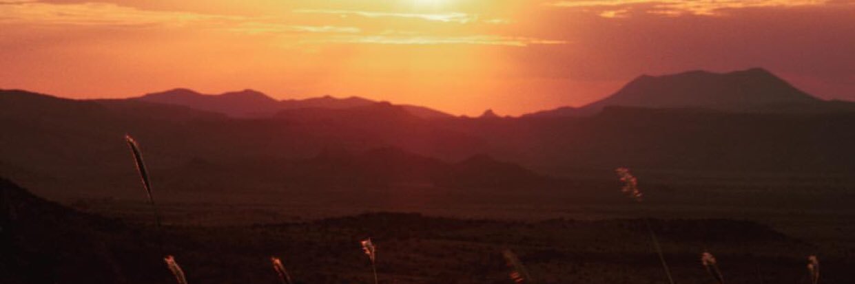 OrsakCheyenne's profile banner image