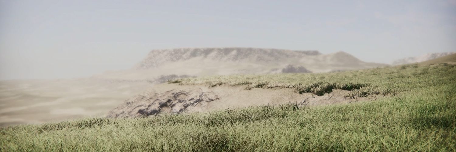damunozl's profile banner image