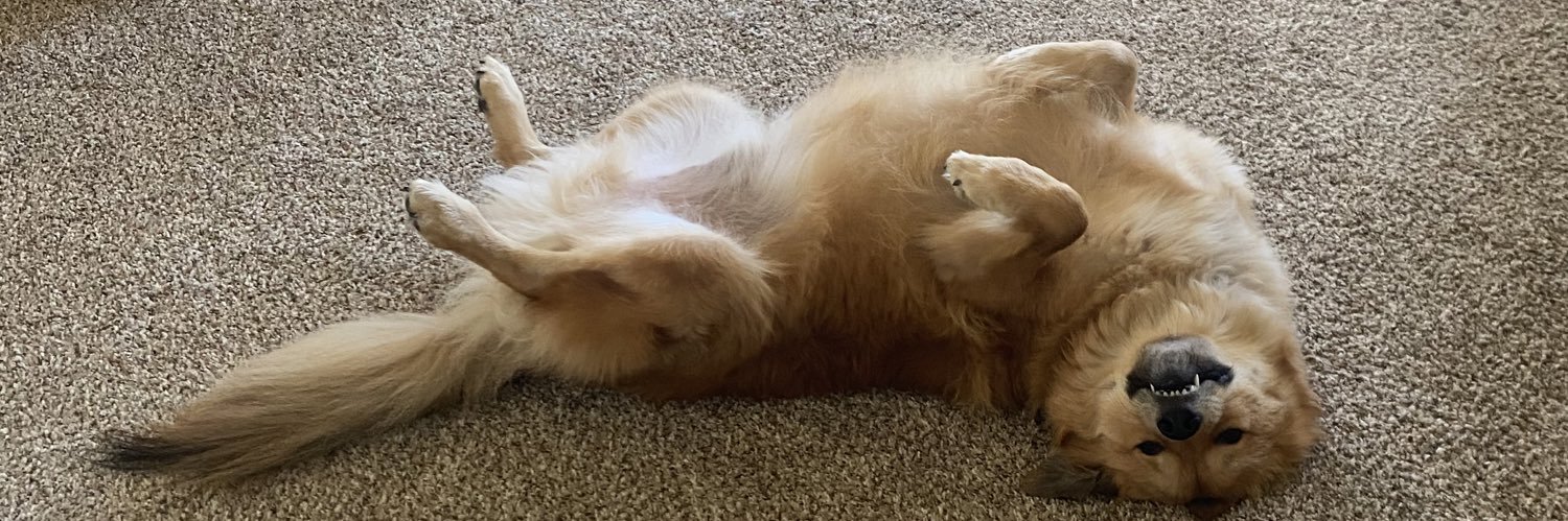 Sabrina Hiton banner