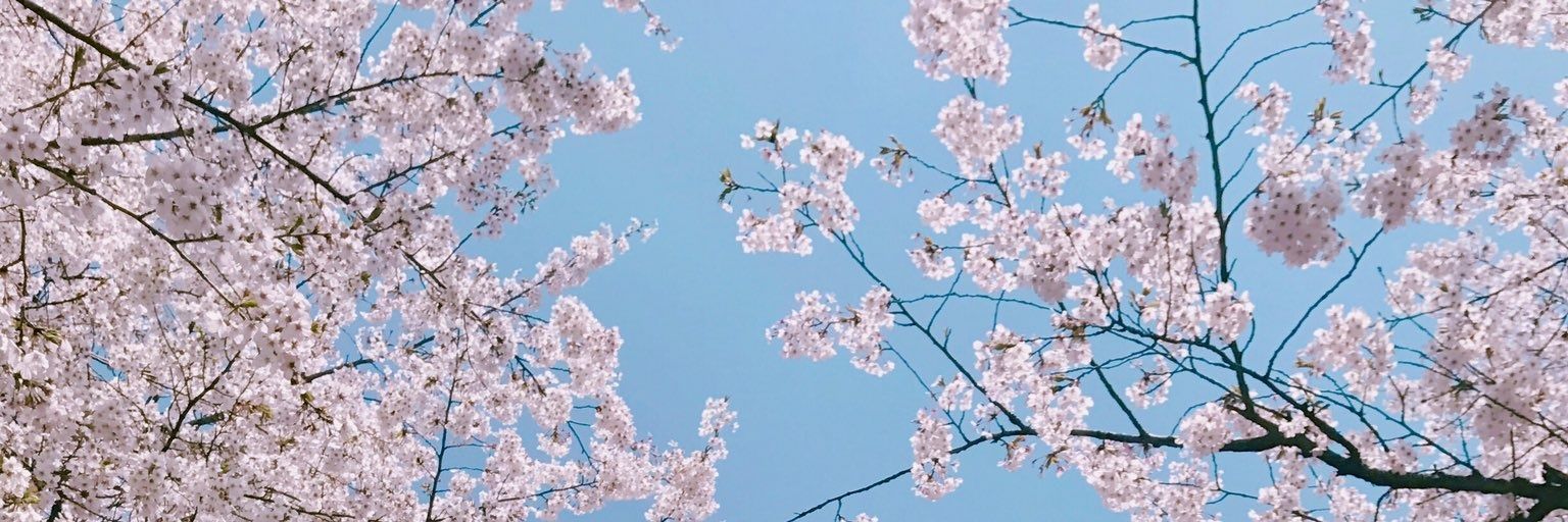FloryFZ's profile banner image