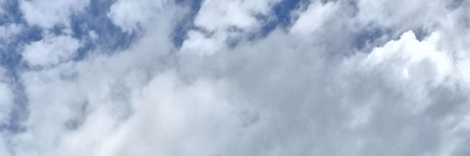 taevslou's profile banner image