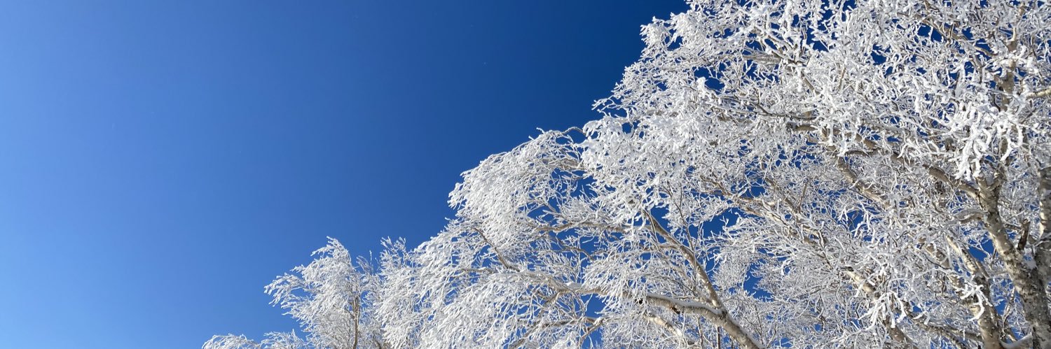 Yasukane Matsumoto banner