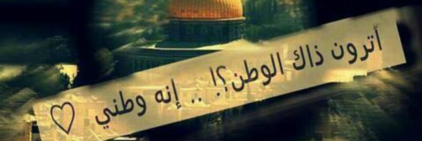 1989Hafsa's profile banner image